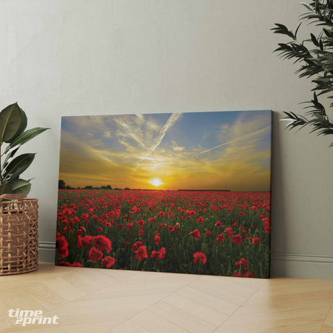 Κόκκινες Παπαρούνες